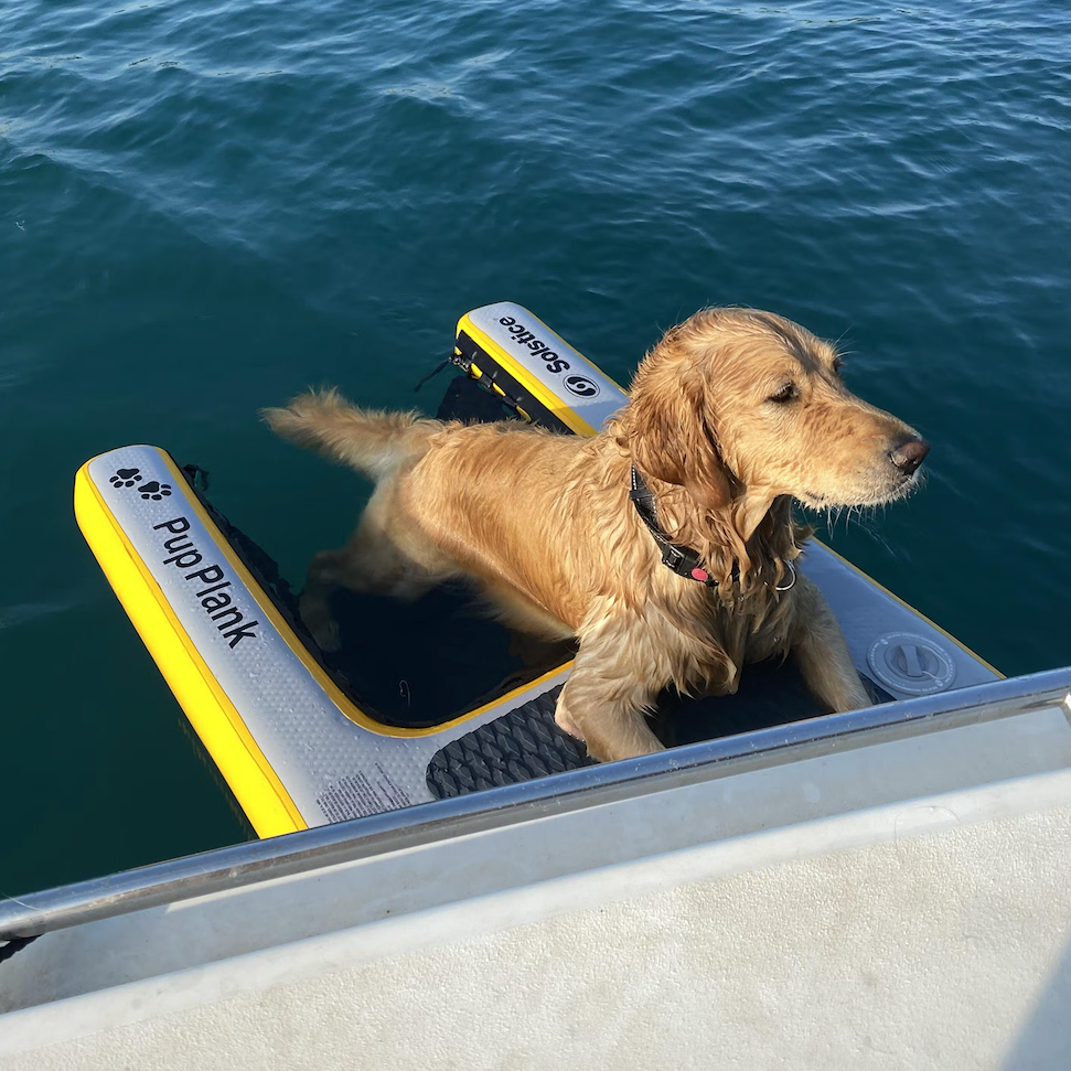 Pup Plank XL