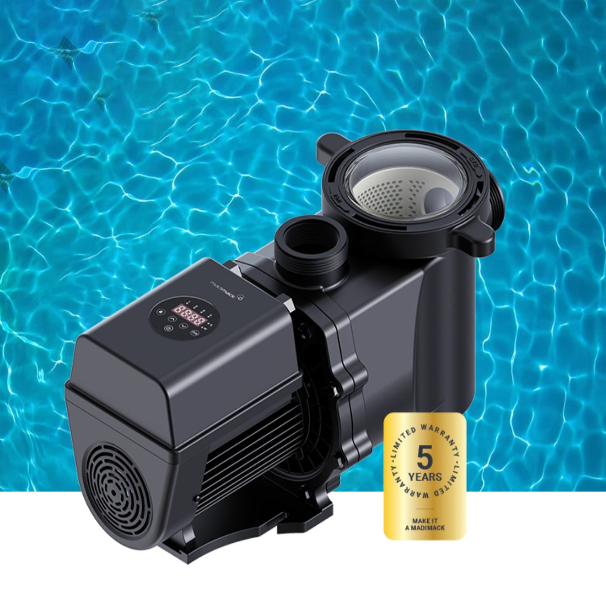 Variable speed pump