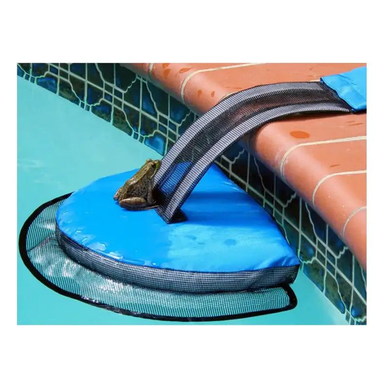 FrogLog — Nonstop Swim