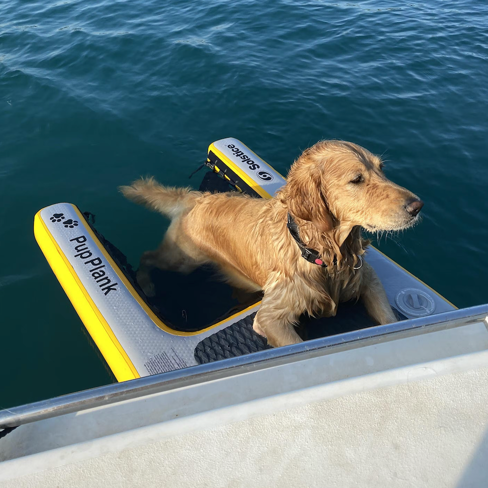 Solstice Pup Plank XL Safety Dog Ramp